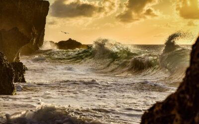 ¿Qué es el cambio climático?