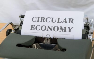 ¿Qué es la economía circular y cómo se aplica?