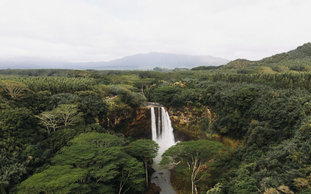 Lecciones de sostenibilidad desde Costa Rica y Barbados para la República Dominicana