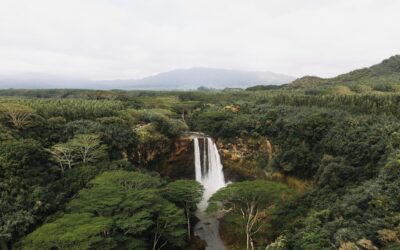 Lecciones de sostenibilidad desde Costa Rica y Barbados para la República Dominicana